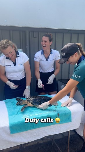 4.4K views · 58 reactions | “Ah she’s pooping…” 藍 #AusWomensClassic | Ladies European Tour | Facebook
