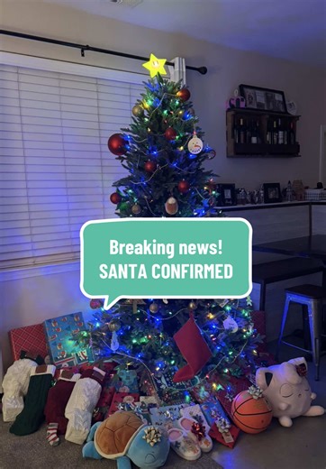 Santa Caught on Camera: A Christmas Surprise