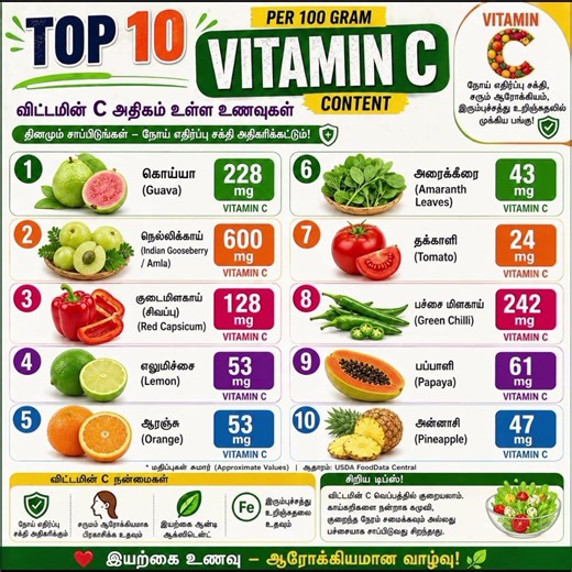 🍱 Top 10 vitamin C Rich Foods 🥛🧚 Shree Shathaka nutri diet 🍎