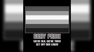 Gray Pride / Grey Pride | Know Your Meme