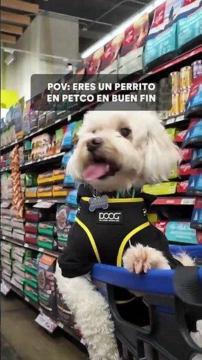 Buen Fin en Petco 🐶