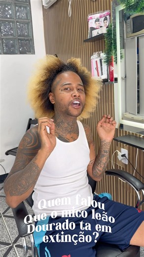 O mico-leão-dourado existe naturalmente apenas na Mata Atlântica do estado do Rio de Janeiro 🦁