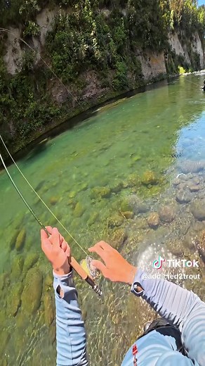 Exploring New Zealand's River Fishing with Jacob
