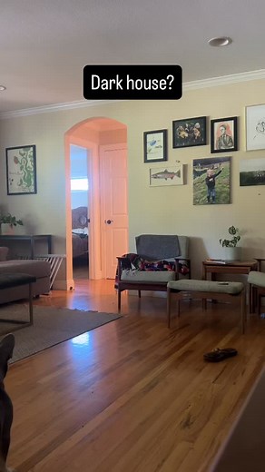 Want a cheap option that’s small and just as awesome as a pro strobe? @adorama sells everything you need. Come on into the membership for exact instructions on how to use this fun and portable set up! #Diybabyphotography#newbornphotography#newbornphotographer#thirdtrimester#diybabyphotography#photographer | DIY Baby Photography