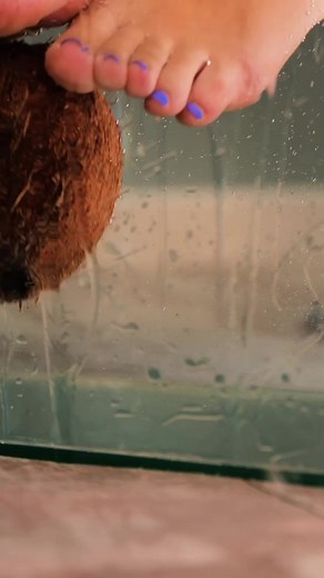 43K views · 100 reactions | Incredible hacks to turn your leftovers into plants!  | 5-Minute Crafts GIRLY | Facebook