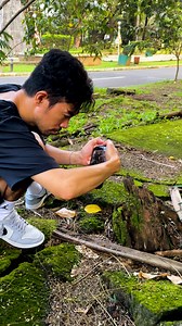 1.5M views · 10K reactions | First try iPhone 15 pro max, Nature Shoot Cinematic effect! #naturevideography #jsk23 | JSK23 | Facebook