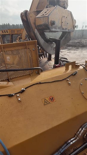 #tigercatforestry #logging #work #fypシ #forestry | Forestry