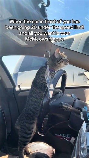 ok but really how does he use the brake and gas pedal and steer the car at the same time