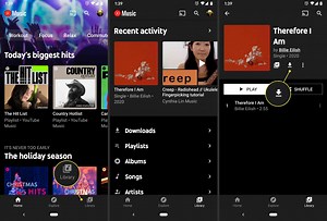 How to download multiple songs at once from youtube