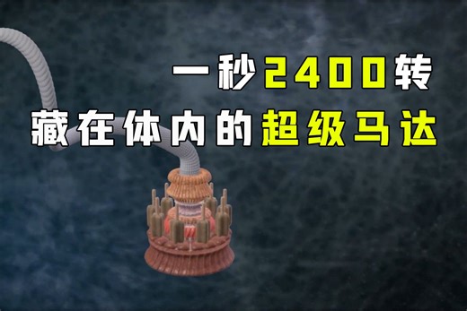 一秒旋转2400圈！世界第一马达竟在细菌身上？隐藏在体内的高科技