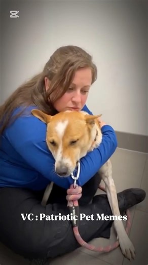 The tech assistant got so attached to him. I could cry at her sadness to say goodbye #aloka