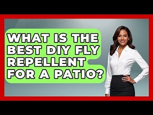 What Is The Best DIY Fly Repellent For A Patio? - Insects and Invaders
