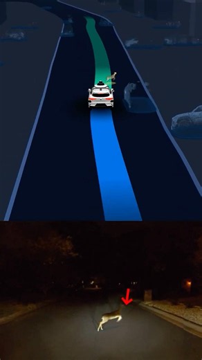 We drive in the dark so you can relax in the back.