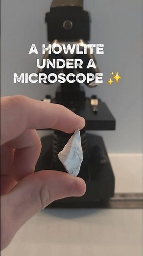Microscopic observation of a howlite #microscope #science #experiment