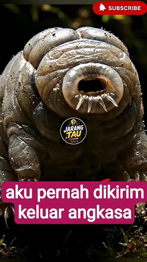 small animals that can live in outer space #facts #interestingfacts #uniquefacts #animalfacts #fyp