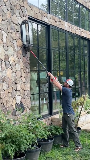 How to remove a hornets nest (the wrong way 😬)
