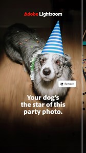 98K views · 462 reactions | Generative Remove in Lightroom makes getting rid of distractions in your party photos easier than ever. | Adobe Lightroom | Facebook