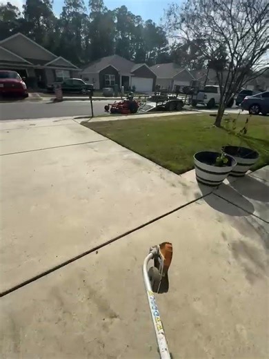 Stihl gas edger 👌