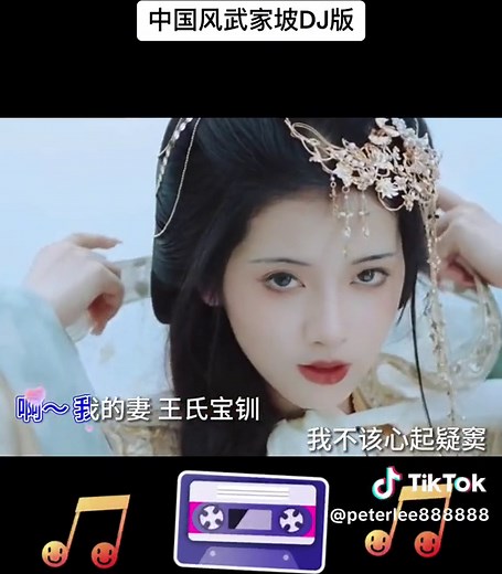 中国风武家坡DJ版