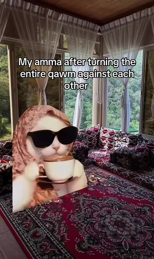 Exploring Afghan Memes: Cultural Reflections and Humor