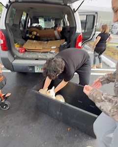 5.6K views · 3.7K reactions | Miami Animal Rescue on Reels | Facebook