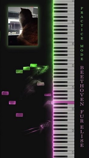 Beethoven – Fur Elise | Slow Piano Tutorial | VitPiano Practice Mode. Performed for study tempo.