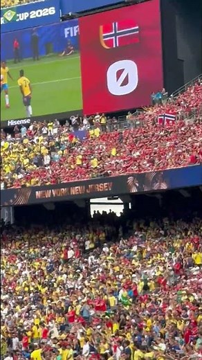 Norway Fans Perform Synchronized Viking Row at World Cup