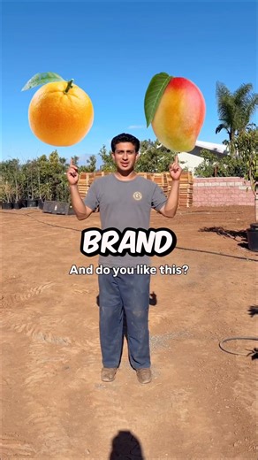 This Guy Created a New Tree???😨😱 Source IG: @utopiatreess