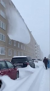 Настоящая Камчатка 2026