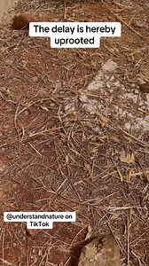 Go and prosper from henceforth❤️❤️❤️❤️❤️…