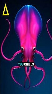 Top 10 Deep Sea Creatures That Look Straight Out of a Nightmare 🌊👁️#AnimalFacts #DeepSea #animals
