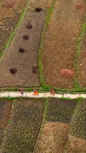 Reposted from @incredibleindia The simplistic lives of rural India will touch your heart everytime you pay a visit. From the warmth of the people to the culinary delights, the beauty lies in their innocence. With serene surroundings and colourful culture, Someshwar Village, Uttarakhand is also the spiritual abode of Lord Shiva at Someshwar Mahadev Temple. Take a break in the cool weather of the mighty Himalayas this summer! VC: @rashmichadha @gkishanreddyofficial @kishan_reddy_office_official @s