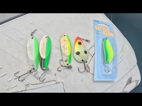 Best Shore Casting Spoons for Salmon