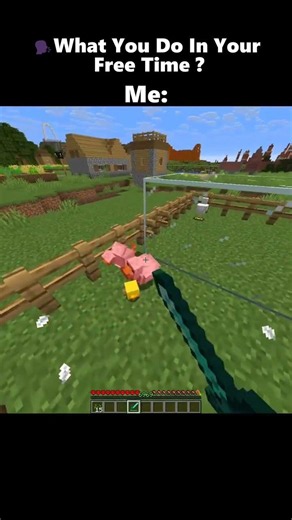 What I Do in My Free Time in Minecraft 🐔 #minecraft