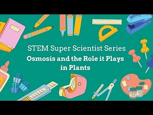 💧 Osmosis in Plants Explained | How Water Moves Through Plants 🌿