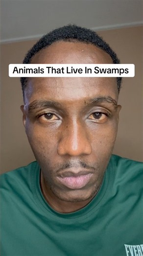 Animals That Live In Swamps🤯 #shorts