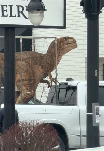 anybody been to sidecar yet? how was it? #sugarhouse #sidecardoughnuts #fyp #dinosaur #funny