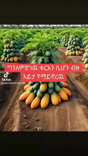 yes. king (@yes..king)’s videos with original sound - yes. king