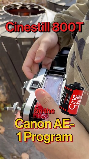 Cinestill 800T on the Canon AE-1 Program #35mmfilm #cinestill800t #cinestill #canonae1program