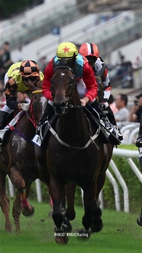 【2026/27 馬季開鑼 Season Opening】「嘉應高昇」草地試閘輕鬆取勝 現場馬迷歡呼迎馬王