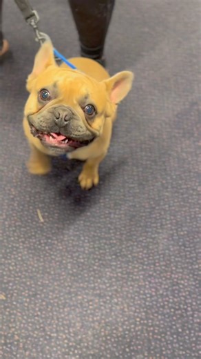 29K views · 831 reactions | Hello Humans, if you’re heading to PURE...