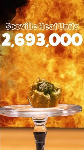 Hottest chilli pepper - 2,693,000 Scoville Heat Units by Pepper X