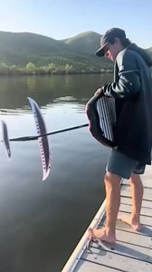 Perfect Wakefoil Board Ride Display #wakefoil #balance #thrillride #wateradventure #fbpage #tiktokskills | Daily Dose of Facts