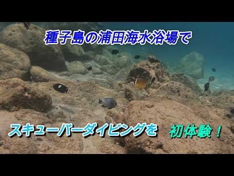 西之表市の浦田海水浴場にてスキューバダイビング初体験！