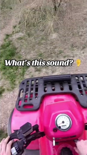 Why is my ATV making this chirping sound? 👀👂🏼 #help