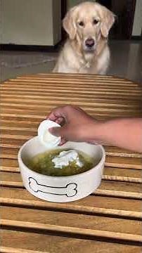 Healthy Veggie Bowl for Dogs | Easy Homemade Dog Food Recipe