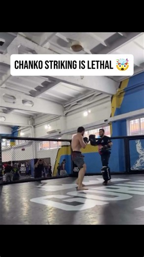 Magomed "Chanko" Zaynukov Striking is LETHAL 🤯 #shorts