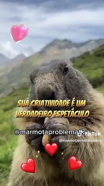 Mensagem da Vó para a Netinha - Declaração de Amor Incondicional