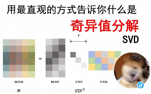 【学长小课堂】什么是奇异值分解SVD--SVD如何分解时空矩阵