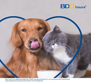 Your pet, your plan! Create a personalized pet protection plan for your furbabies thru #BDOInsure. BDO Insure is a registered trademark of BDO Insurance Brokers Inc., an insurance broker licensed and supervised by the Insurance Commission of the Philippines. For inquiries and concerns, please call our BDO Insure Call Center at (02) 8838-2364. The BDO Insure trademarks are owned by BDO Insurance Brokers, Inc. All Rights Reserved. | BDO Unibank